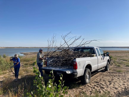 Colorado State Senator Simpson and his wife load cut tamarisk limbs into the truck bed for future wood chipping during the National Public Lands Day event at John Martin, Sept. 25, 2021.